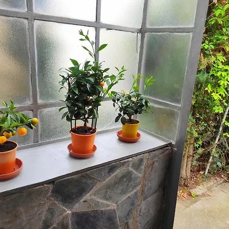 Tatil Evi Soukromy Dum Se Zahradou U Pariku